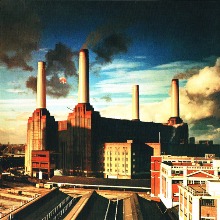 Animals