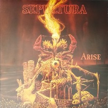 Arise