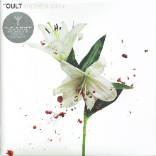 Hidden City
